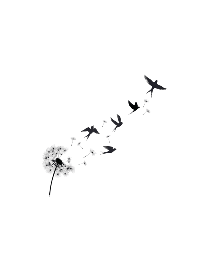 DANDELION FITTED TEE - WHITE - TONED