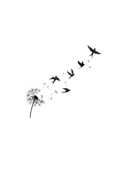 DANDELION FITTED TEE - WHITE - TONED